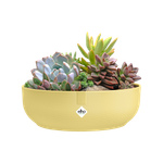 jazz bowl 28cm cream yellow